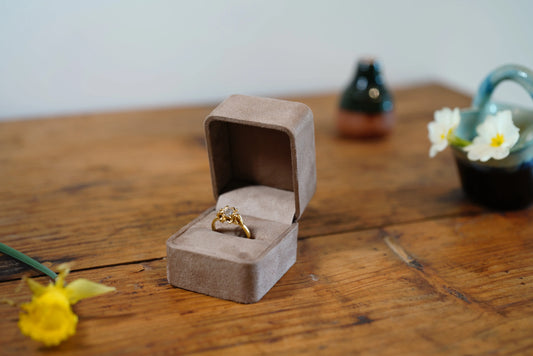 Boîtes à Bague aspect suédine couleur taupe Max & Lucie